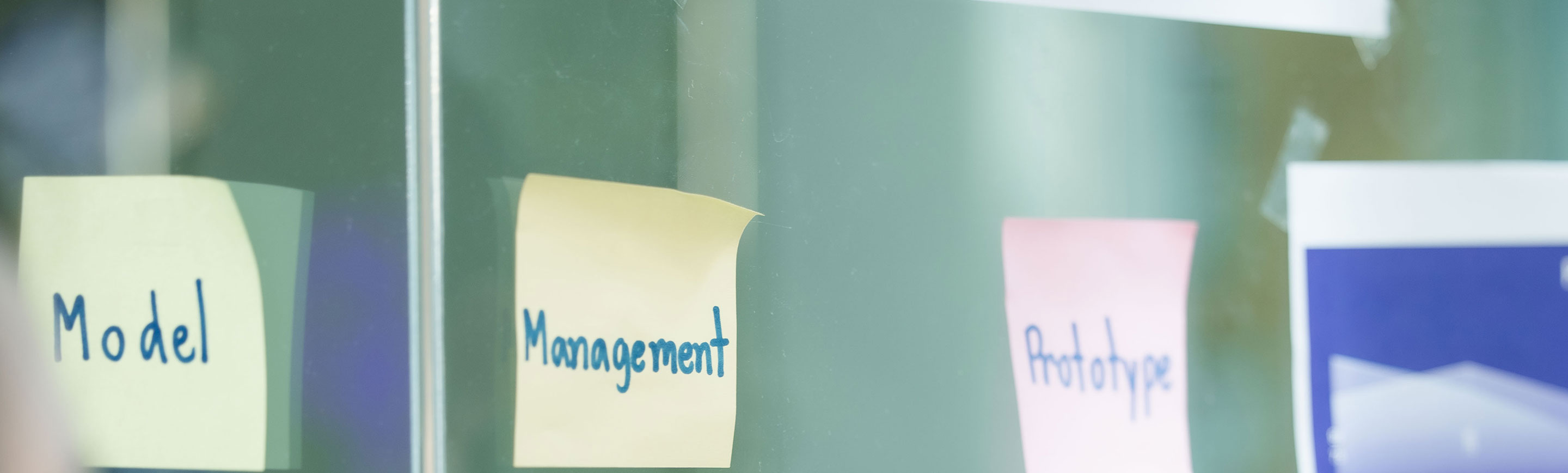 Network Schools of Professional Institutes